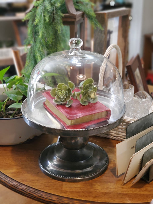 RARE Stunning Vintage Bombay Silver Plated Stand and Cake Dome