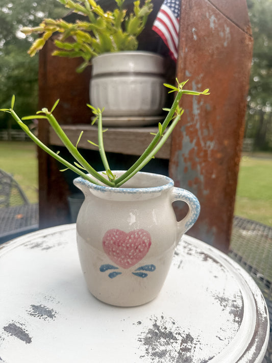 Vintage Spongeware Pitcher with Pencil Cactus (in GROW mode!)