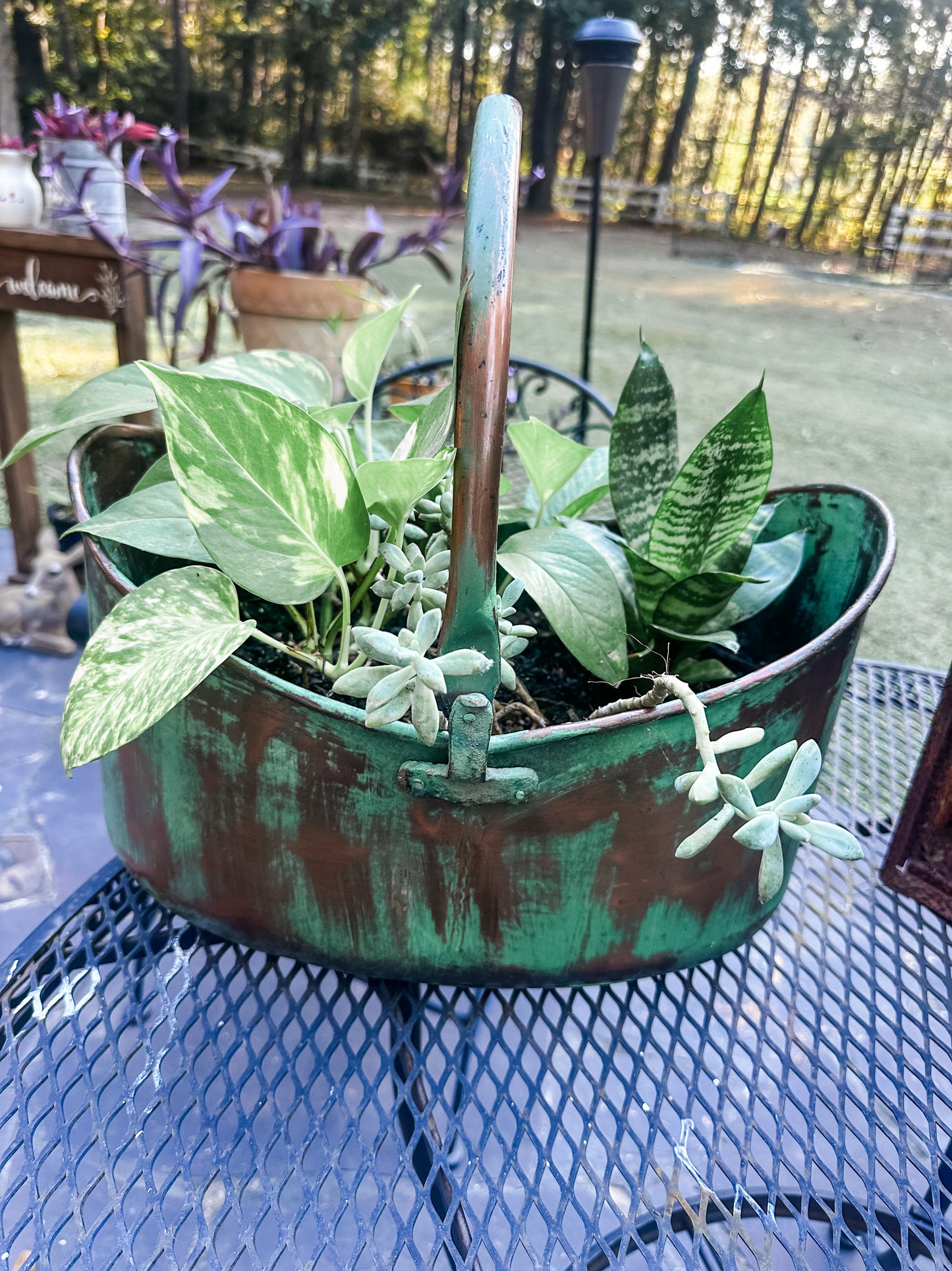 Stunning one of a kind LIVE indoor plant arrangement! Metal/Brass patina basket! Pothos, snake plant, and succulents. Instant center piece. 🥰