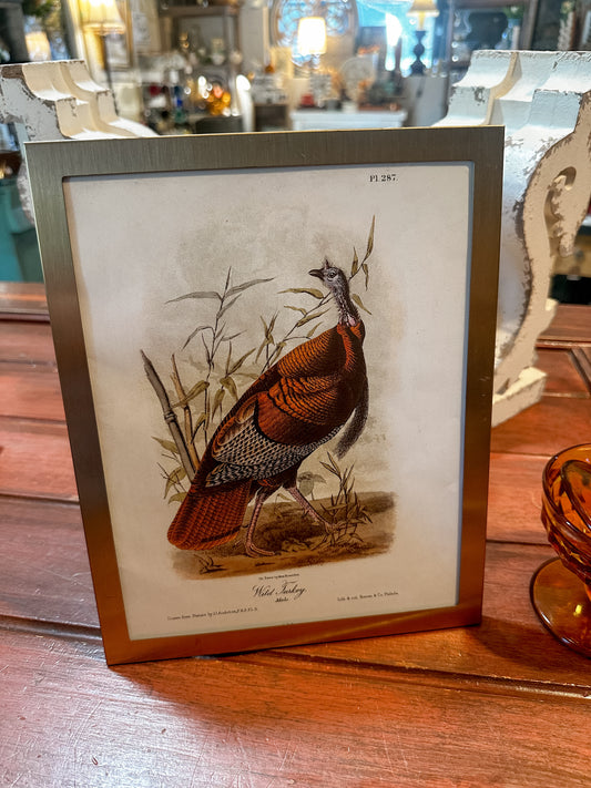 Vintage Wild Turkey Print in Gold Frame 8x10